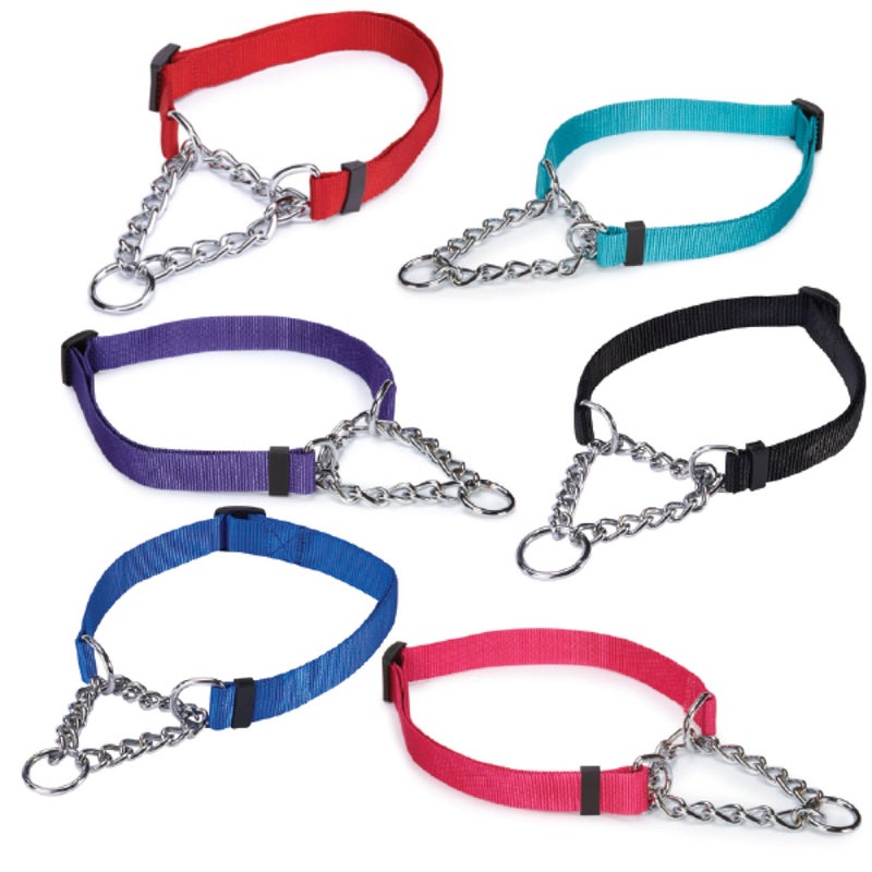 Guardian Gear Adjustable Martingale Choke-Style Dog Collar - Image 3
